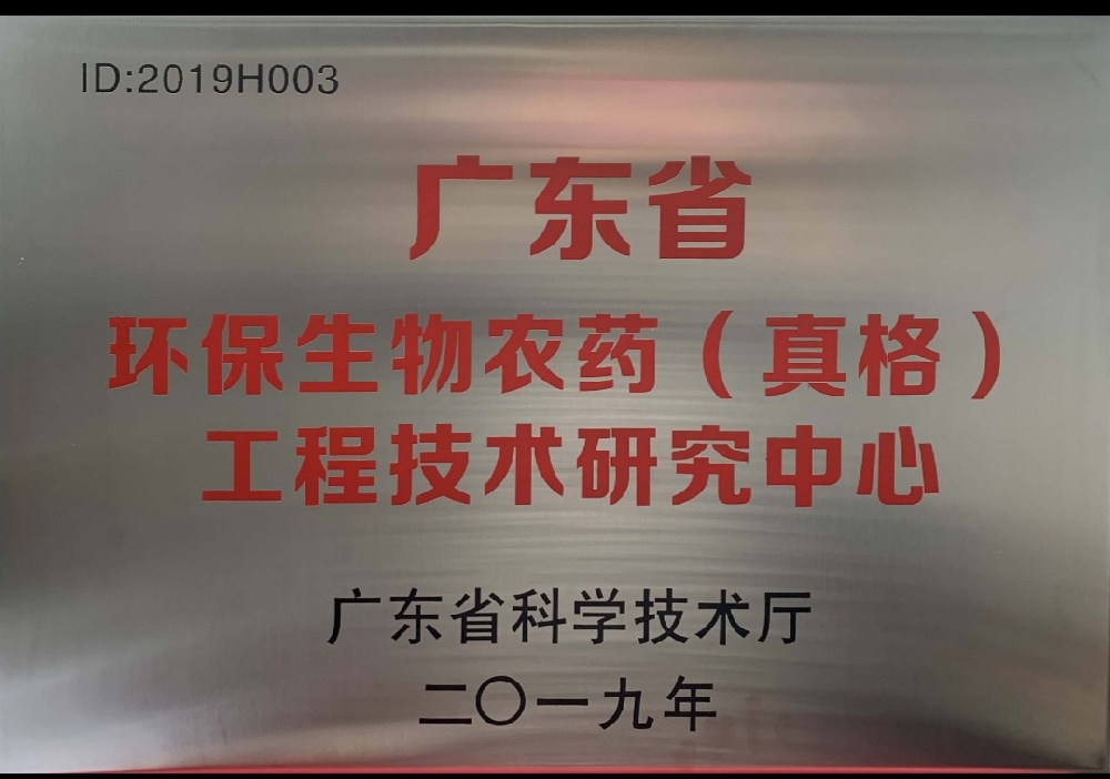 金榜提名，載譽歸來