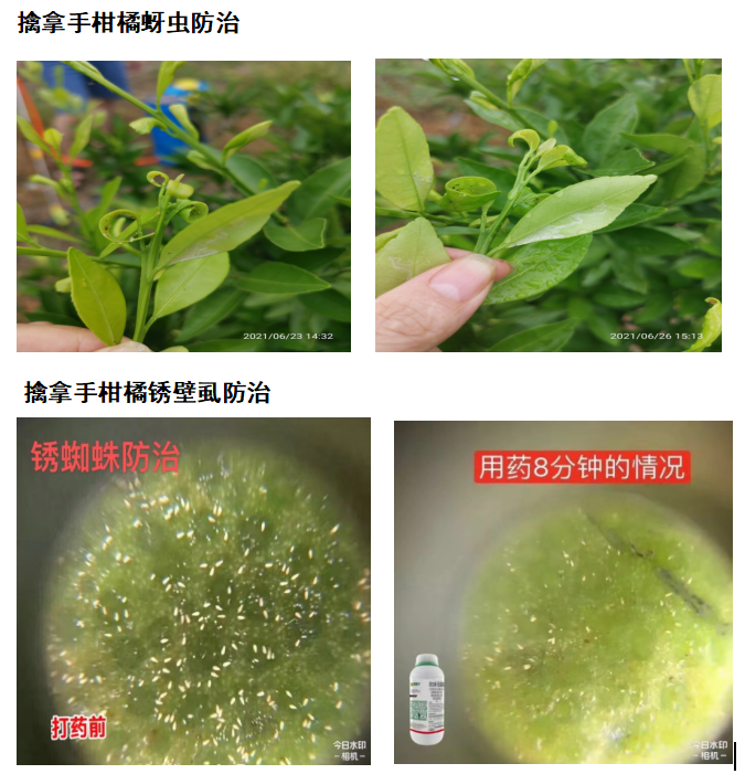 針對(duì)這個(gè)可控難治的病，我們有高招！