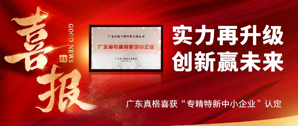 實(shí)力再升級，創(chuàng)新贏未來！ ——廣東真格喜獲“專精特新中小企業(yè)”認(rèn)定